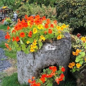 Meet your Posher, Deborah